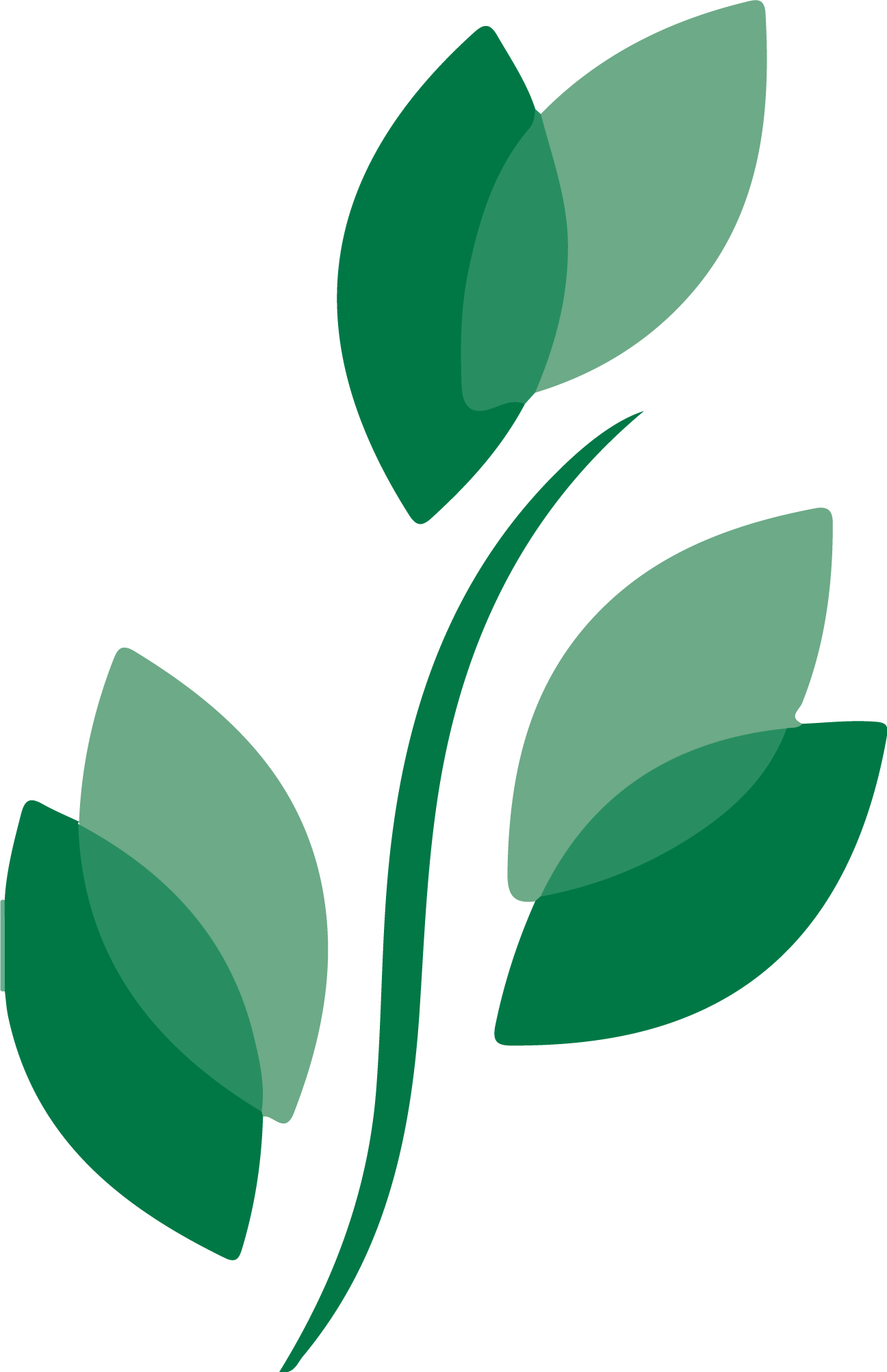 Brookdale Gaines Ranch logo