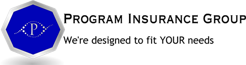 Logo of Program Insurance Group